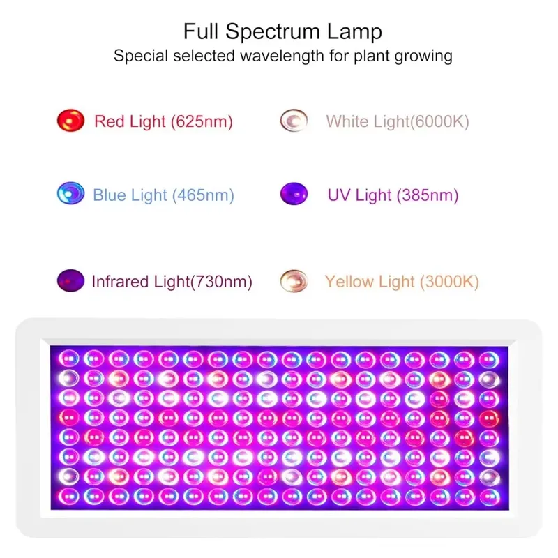 2026 Latest UV Light Box for S - đánh giá và giá Resin Printer